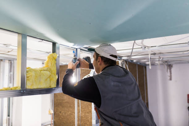 Best Commercial Insulation in Santa Paula, CA