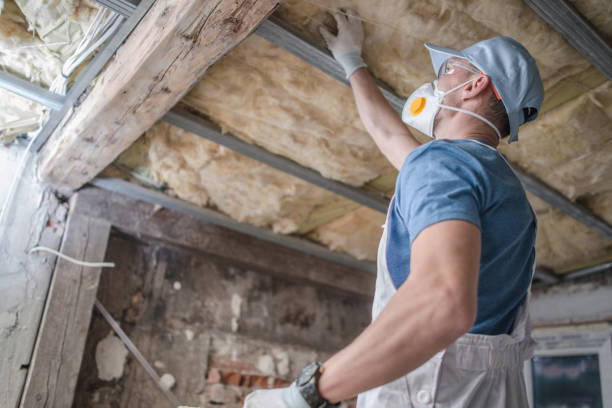 Best Blown-in Insulation in Santa Paula, CA