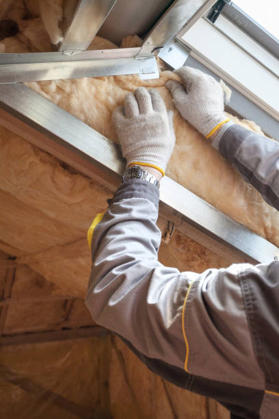 Best Geographic-Specific Insulation Services in Santa Paula, CA