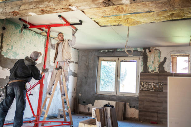 Best Specialized Insulation Services in Santa Paula, CA
