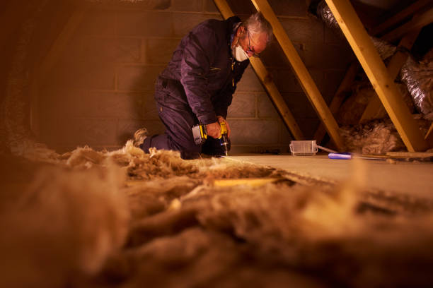 Best Insulation for Specific Applications in Santa Paula, CA